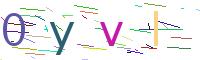 Verify Code