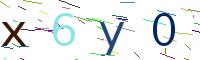 Verify Code